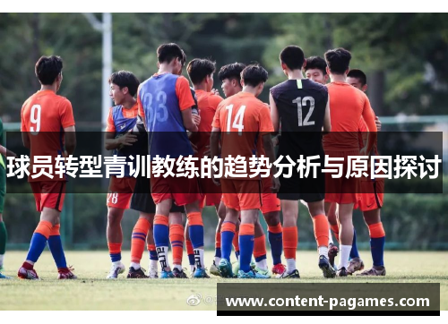 球员转型青训教练的趋势分析与原因探讨