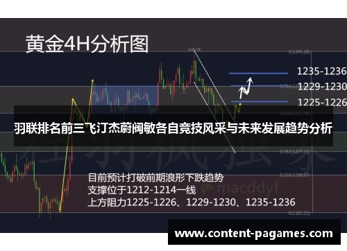 羽联排名前三飞汀杰蔚阀敏各自竞技风采与未来发展趋势分析