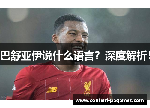 巴舒亚伊说什么语言？深度解析！