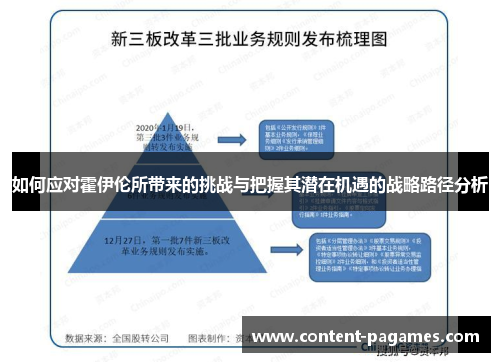 如何应对霍伊伦所带来的挑战与把握其潜在机遇的战略路径分析