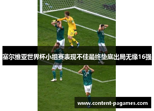 塞尔维亚世界杯小组赛表现不佳最终垫底出局无缘16强 塞尔维亚世界杯小组赛表现不佳最终垫底出局无缘16强