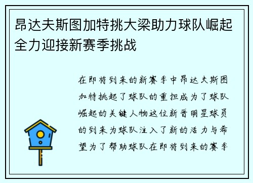 昂达夫斯图加特挑大梁助力球队崛起全力迎接新赛季挑战